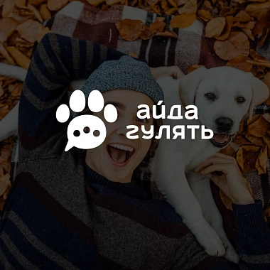 Фирменный стиль сайта «Айда Гулять»