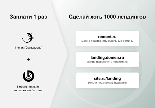 ХАМЕЛЕОН — 999 в 1. Безлимитный конструктор лендингов с корзиной и функциями для «автоворонок»