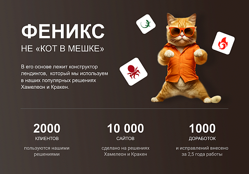 ФЕНИКС — безлимитный конструктор интернет-магазинов с возможностью создавать нешаблонные лендинги